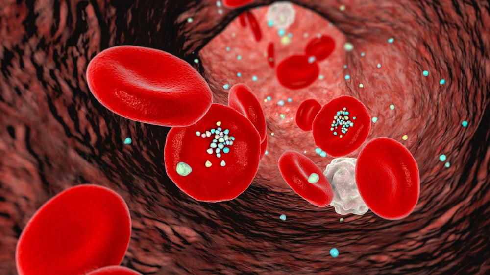 microplastic toxicity in the bloodstream