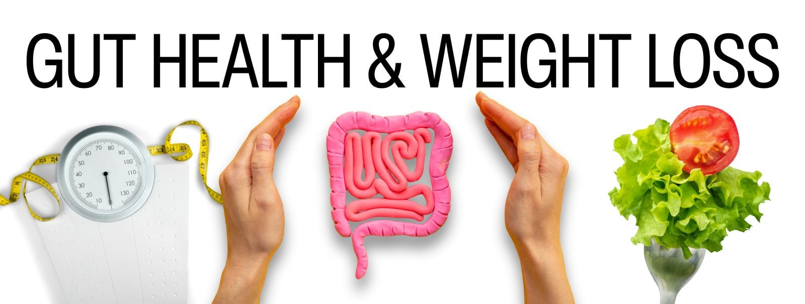 Gut Health and Weight Loss