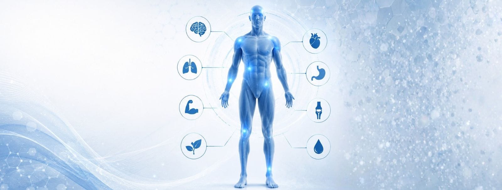 hormone therapy, hormones, holiday